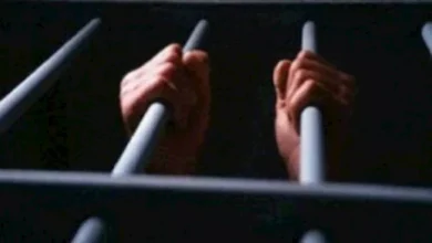 2013 11 22 7 33 44 585.webp