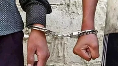 2014 9 17 10 22 2 382.webp