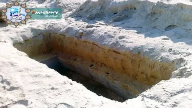 2015 8 16 16 5 23 703.webp