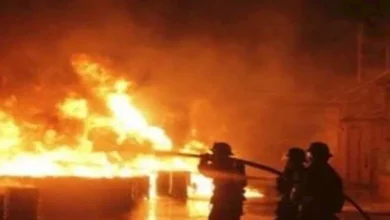 2015 8 16 1 41 15 559.webp