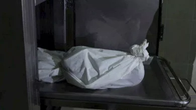 2016 12 10 0 20 19 50.webp