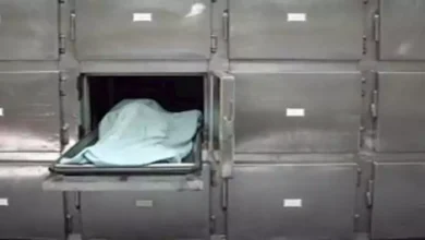 2017 8 5 16 6 37 610.webp