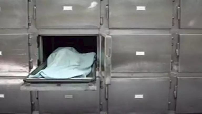 2017 8 5 16 6 37 610.webp