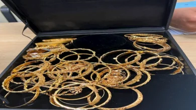 2023 4 28 18 6 53 527.webp