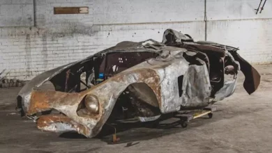 2023 8 21 13 15 20 477.webp