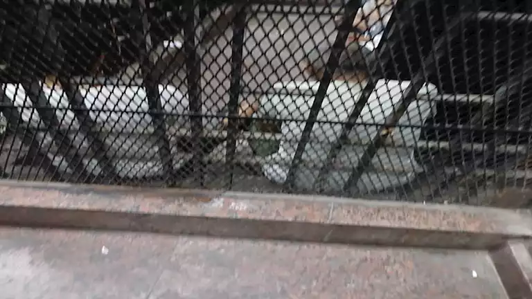 2024 11 14 22 16 4 952.webp