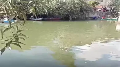 2024 12 18 14 17 58 818.webp