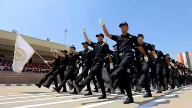 2024 12 29 21 34 16 646.webp