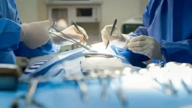 2024 5 26 12 37 0 876.webp