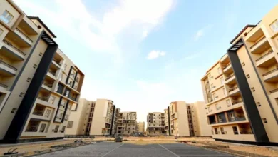 2025 11 8 19 40 16 540.webp