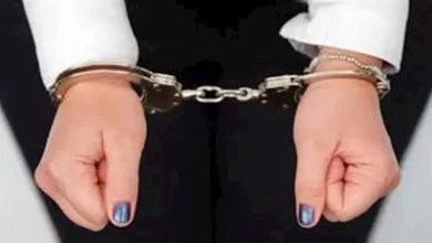 2025 12 13 18 30 15 540.webp