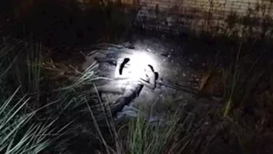 2025 2 20 22 31 55 59.webp