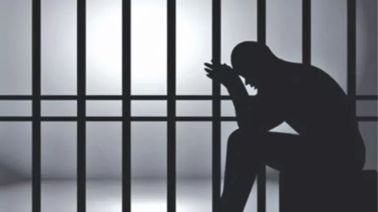 2025 8 24 13 46 27 661.webp