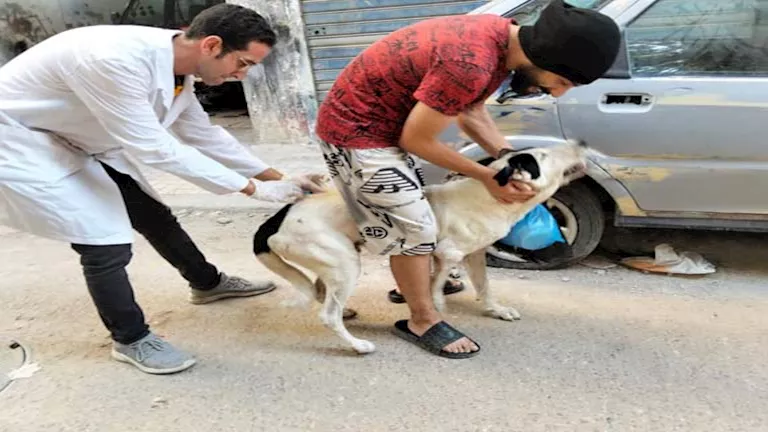 2025 9 10 13 19 27 956.webp