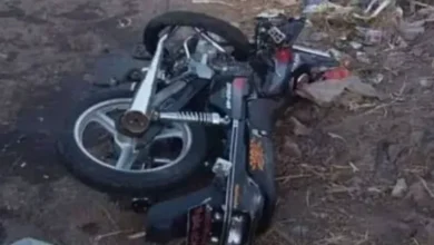 2025 9 12 14 8 55 632.webp