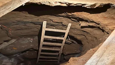 2025 9 18 10 10 23 413.webp