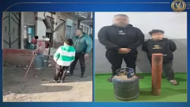 2026 1 10 16 47 4 845.webp