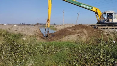 2026 1 11 18 54 48 596.webp