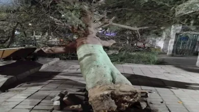 2026 1 13 0 31 28 719.webp