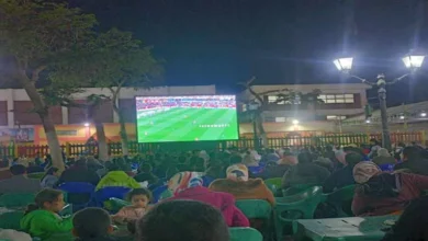 2026 1 14 19 53 7 796.webp