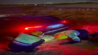 2026 1 15 14 5 10 449.webp