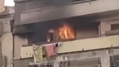 2026 1 16 16 3 40 195.webp