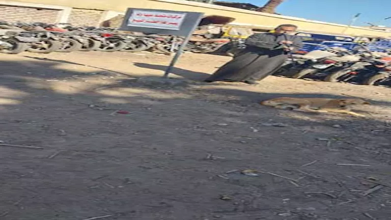 2026 1 17 17 0 44 998.webp