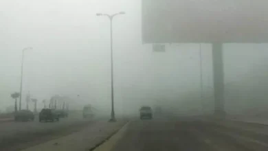 2026 1 17 8 46 21 267.webp