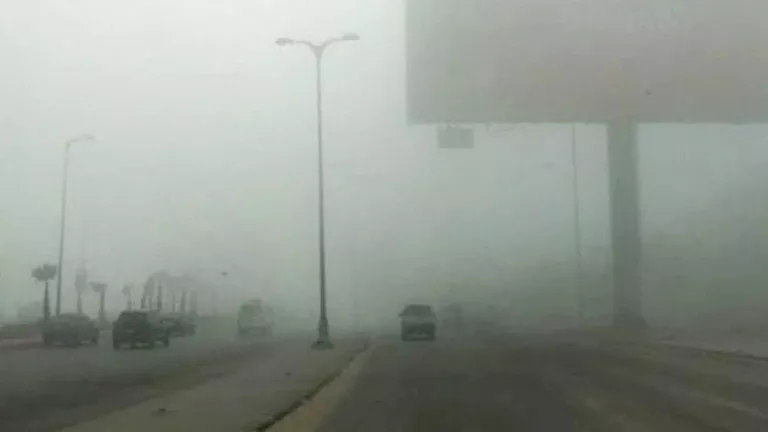 2026 1 17 8 46 21 267.webp