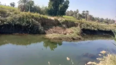 2026 1 18 14 2 38 826.webp