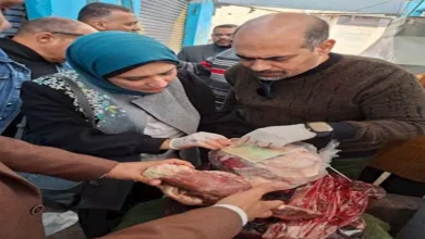 2026 1 19 22 21 31 429.webp