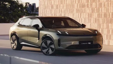 2026 1 1 16 39 56 445.webp