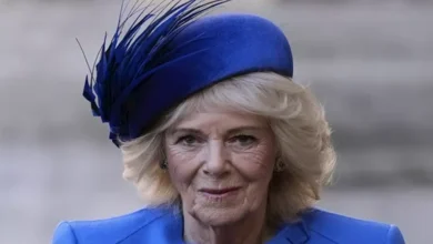 2026 1 1 20 46 44 716.webp