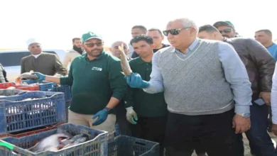 2026 1 21 21 18 56 996.webp