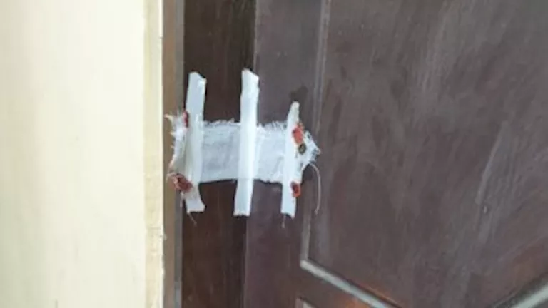 2026 1 22 15 33 41 929.webp