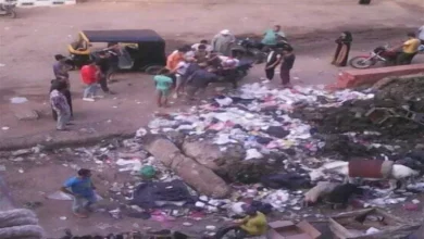 2026 1 22 17 57 44 983.webp