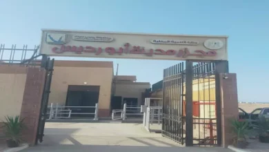 2026 1 23 11 21 41 36.webp