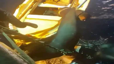 2026 1 25 11 58 43 741.webp