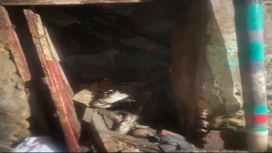 2026 1 25 20 8 52 982.webp