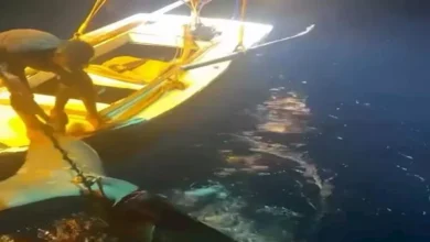 2026 1 25 23 23 46 644.webp