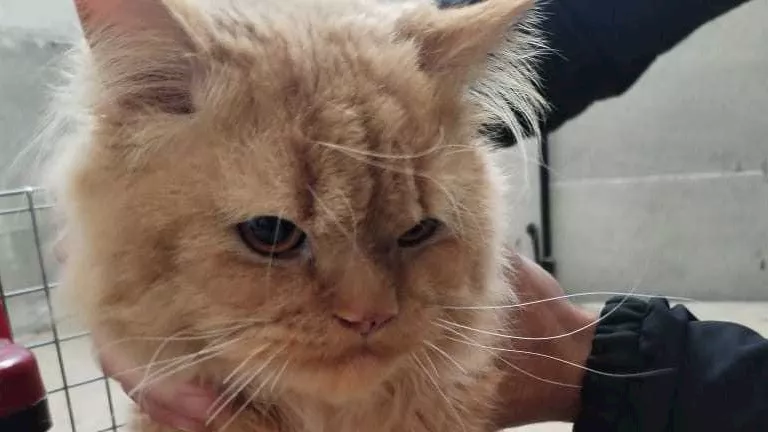 2026 1 26 14 9 42 291.webp