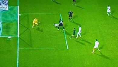 2026 1 28 20 16 14 313.webp