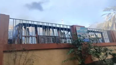 2026 1 2 14 49 53 53.webp