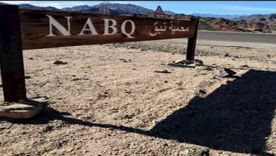 2026 1 2 15 57 49 395.webp