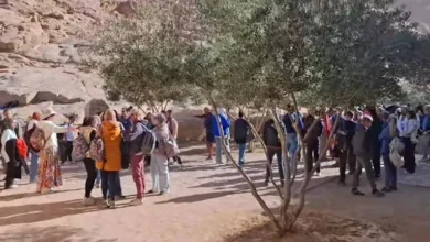 2026 1 31 11 57 52 13.webp