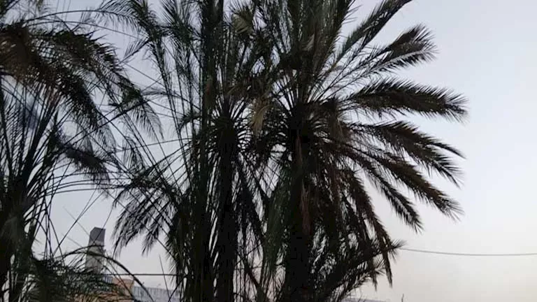 2026 1 31 20 52 39 705.webp