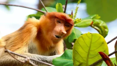 2026 1 3 12 43 4 334.webp