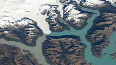 2026 1 3 14 4 38 212.webp