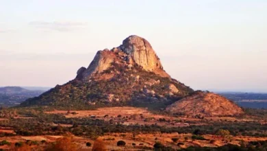 2026 1 3 15 35 9 929.webp