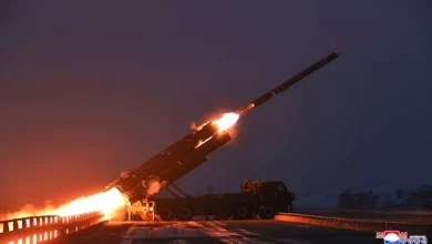 2026 1 4 1 44 49 44.webp